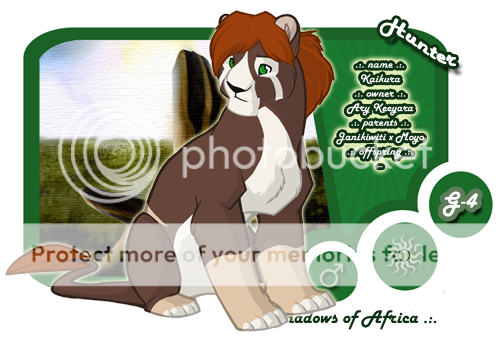 User Image